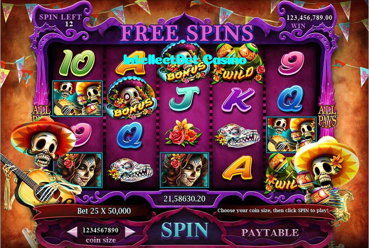 IntellectBet Casino casino presented on mobile device in Pakistan with slots and live games